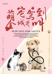 萌宠驾到