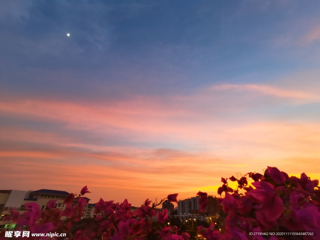 晚霞 夕阳 彩霞 花朵