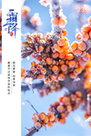 霜降