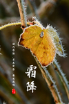 霜降
