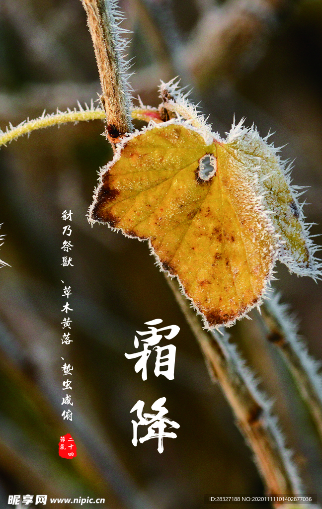 霜降