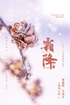 霜降