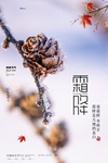 霜降