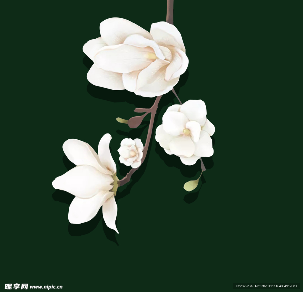 插画素材