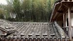 农村建筑砖瓦房