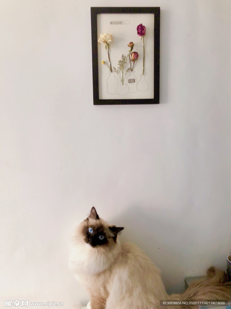闲时