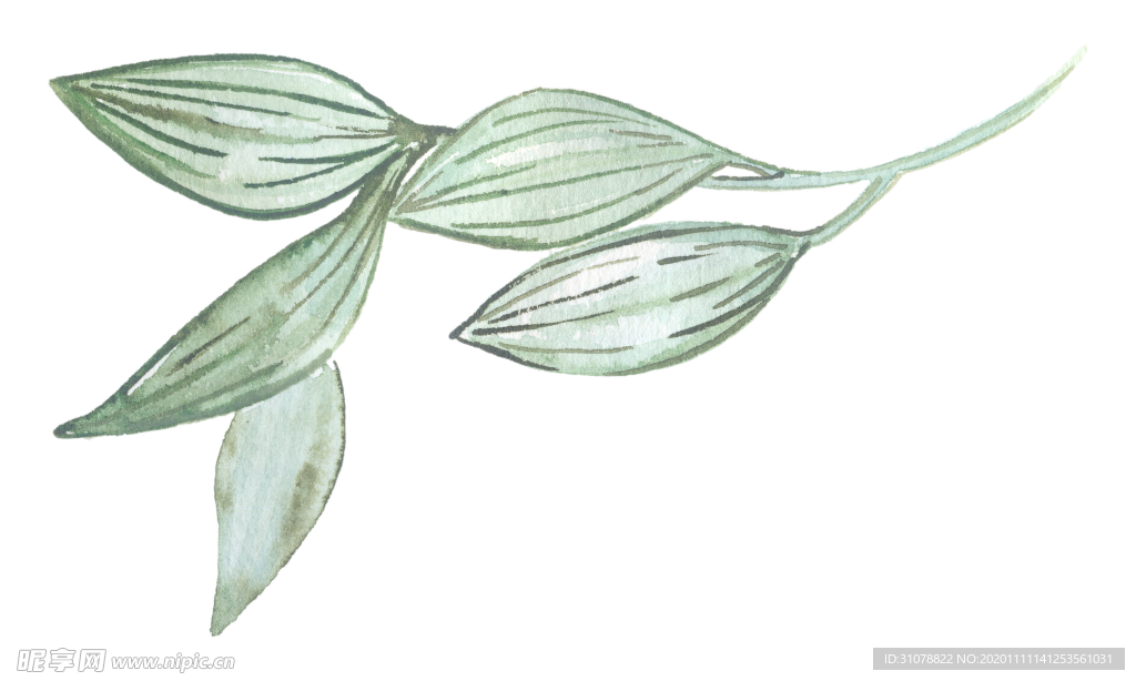 北欧小清新水彩花朵插画
