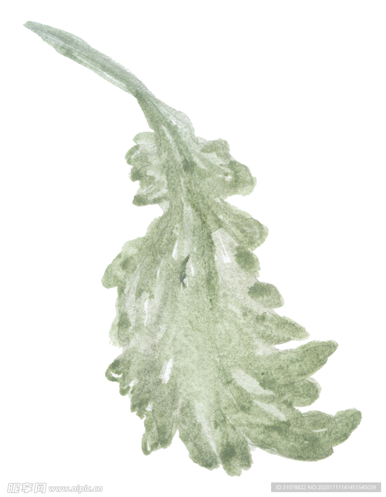 北欧小清新水彩花朵插画
