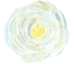 北欧小清新水彩花朵插画