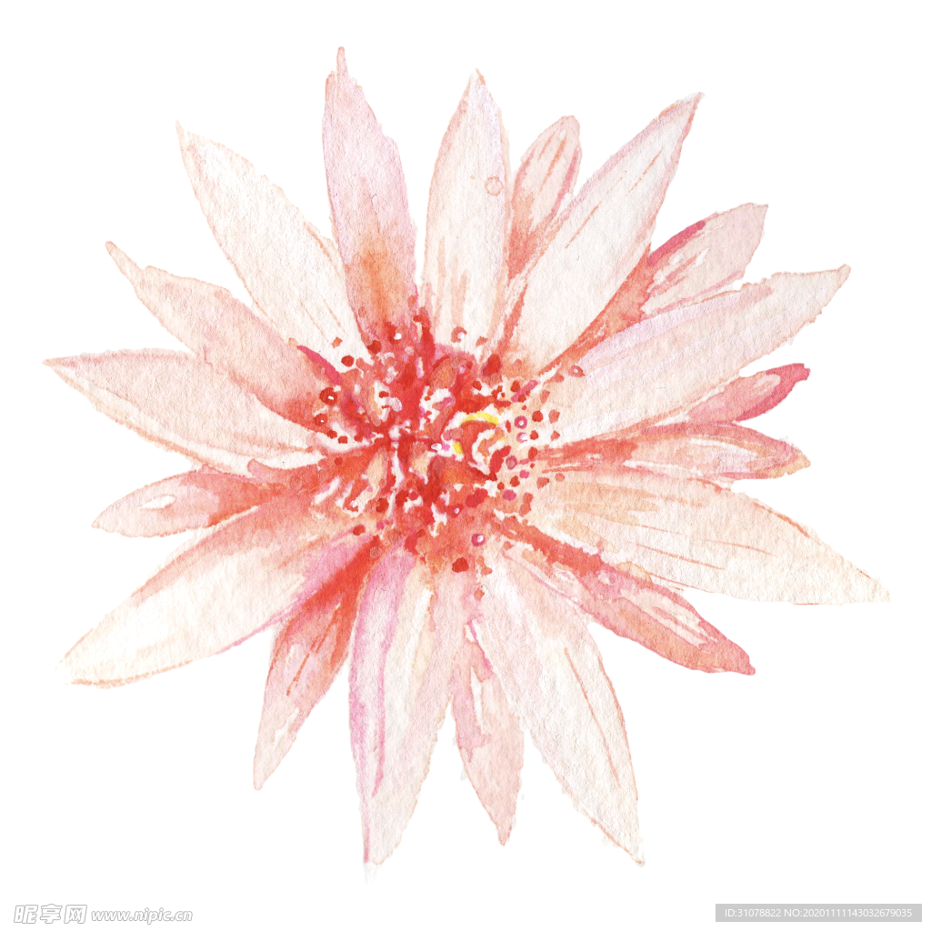 北欧小清新水彩花朵插画