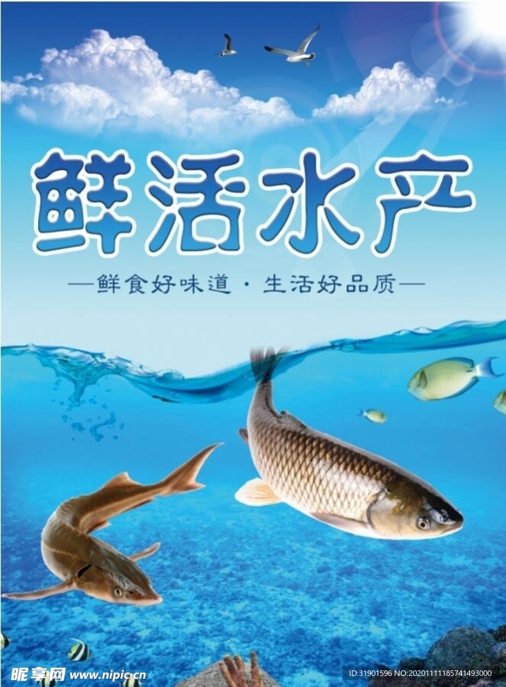 鲜活水产