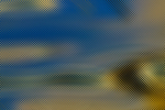 底纹