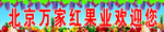 果业