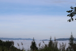 高山云雾