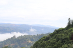 茶山