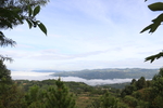 茶山