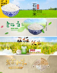 大米首焦大图