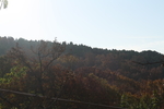 泰山