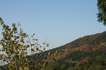 泰山