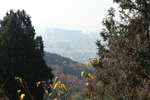 泰山