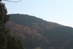 泰山