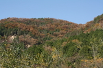 泰山