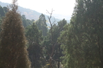 山路