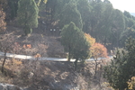 山路