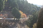 山路