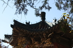 亭子