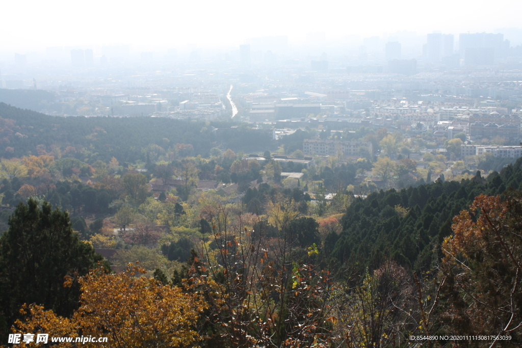 泰山