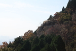 泰山
