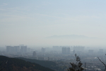 泰山