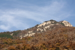 泰山