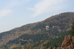 泰山