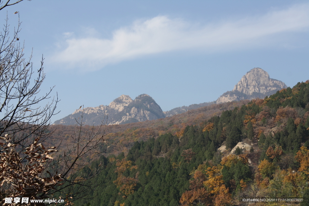 泰山