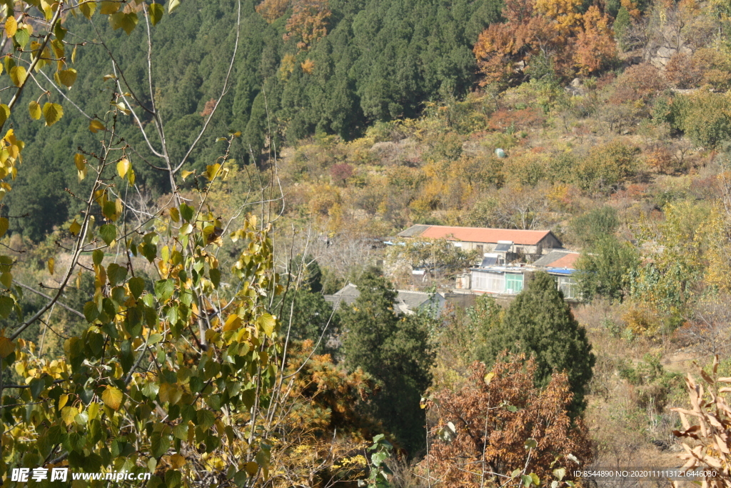 小屋