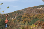 山