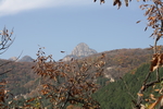 泰山