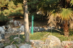公园