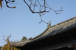 古建筑