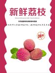 荔枝海报
