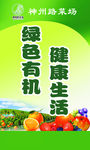 菜场海报