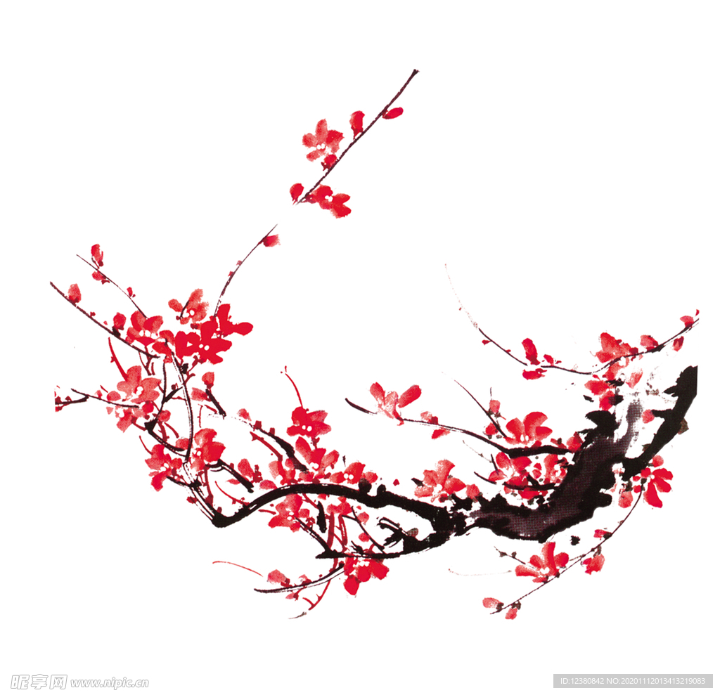 梅花