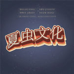 LOGO样机