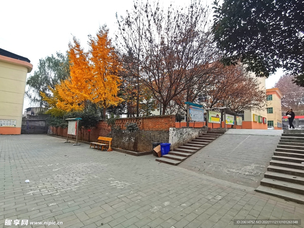 秋日里的校园风景