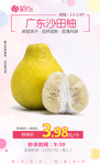 广东沙田柚秒杀
