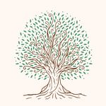 树 手绘树