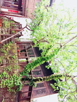 小木屋