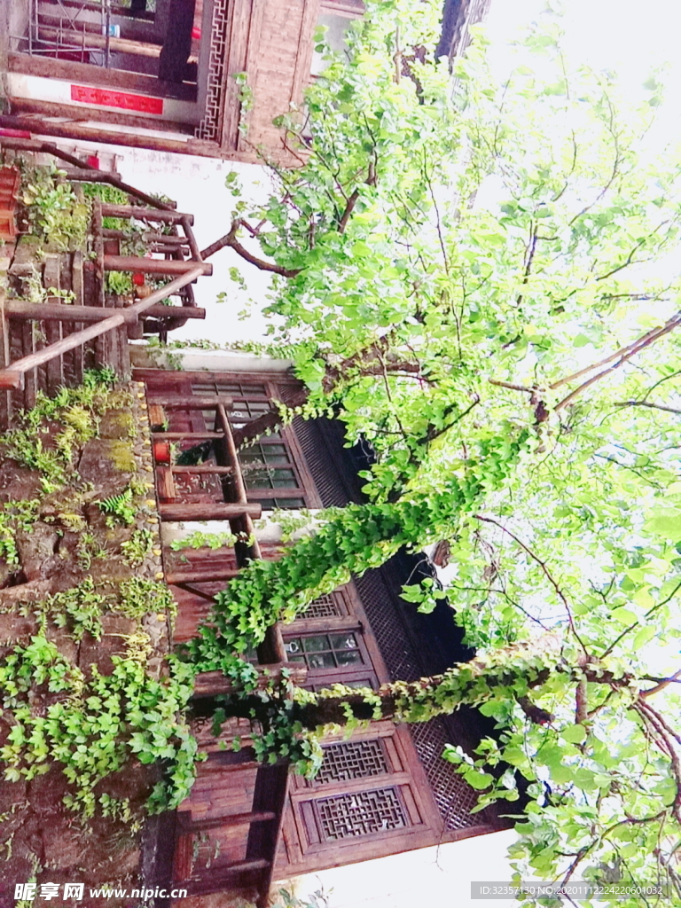 小木屋